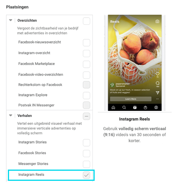 Instagram Reels advertenties
